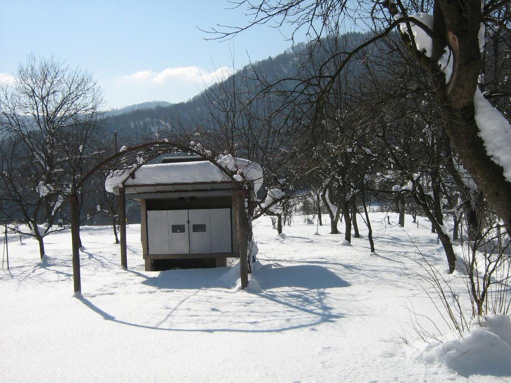 Apartman Gomirje ヴルボヴスコ エクステリア 写真